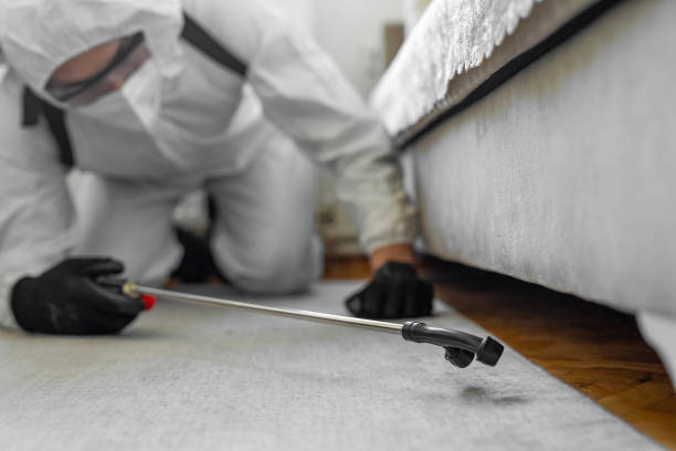 Professional Ant Control technician working in Livingston, LA