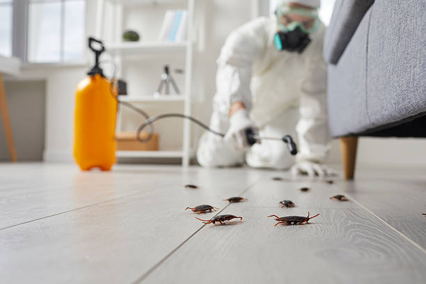 Trusted Cockroach Control service in Livingston, LA - Nex Pest Control