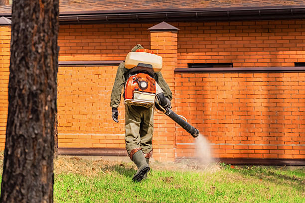 Trusted Emergency Pest Control service in Livingston, LA - Nex Pest Control
